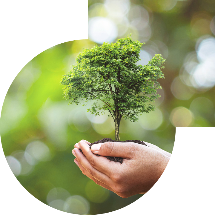 关怀人类、文化、环境与社会